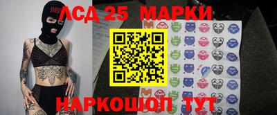 твердый Будённовск