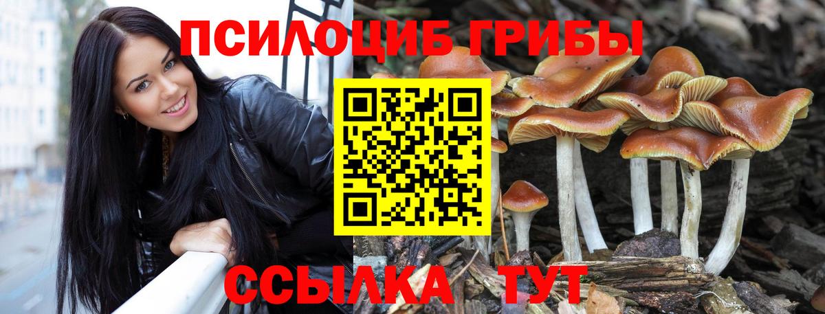 Псилоцибиновые грибы Psilocybe  Псилоцибиновые грибы MAGIC MUSHROOMS  Нововоронеж  Вход с VPN 